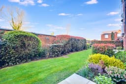 Property preview