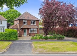 Property preview