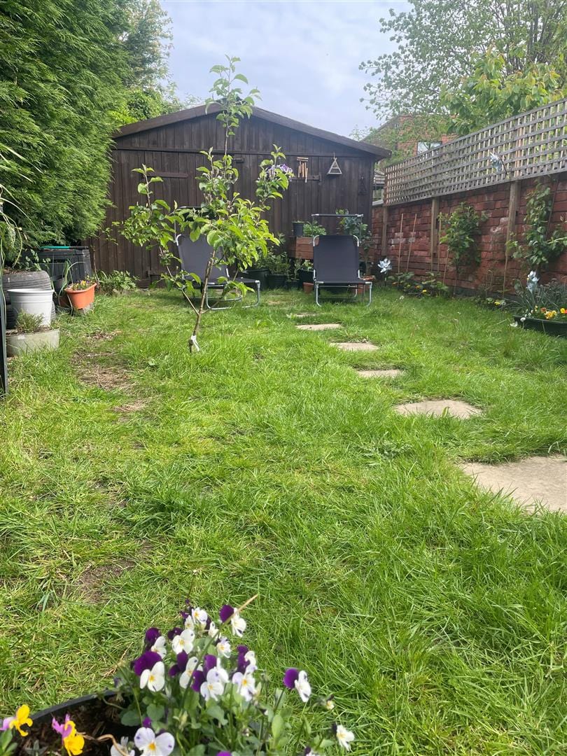 Number 20