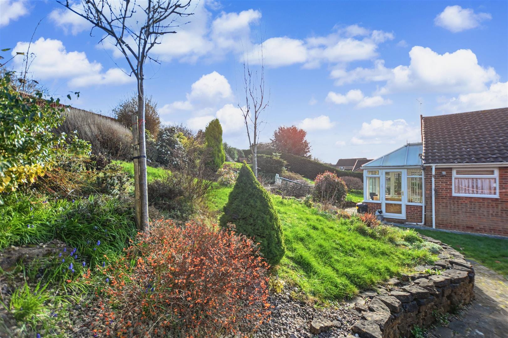 Number 19