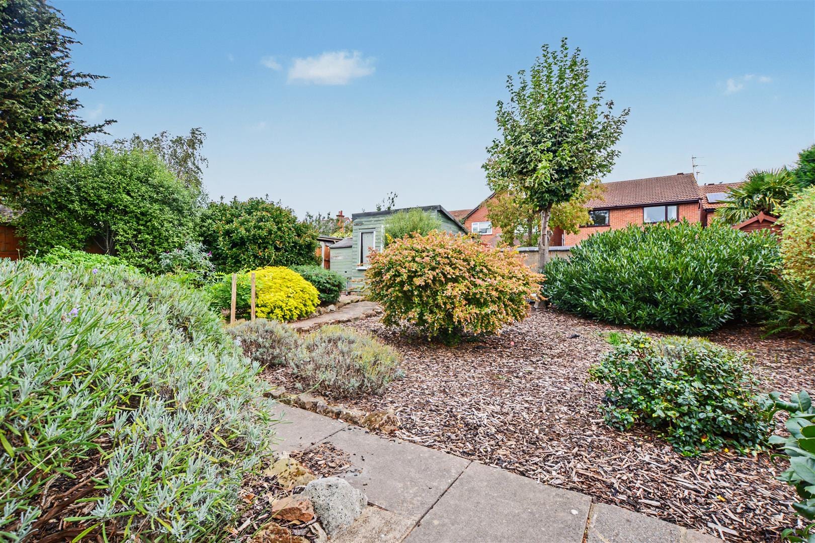 Number 31