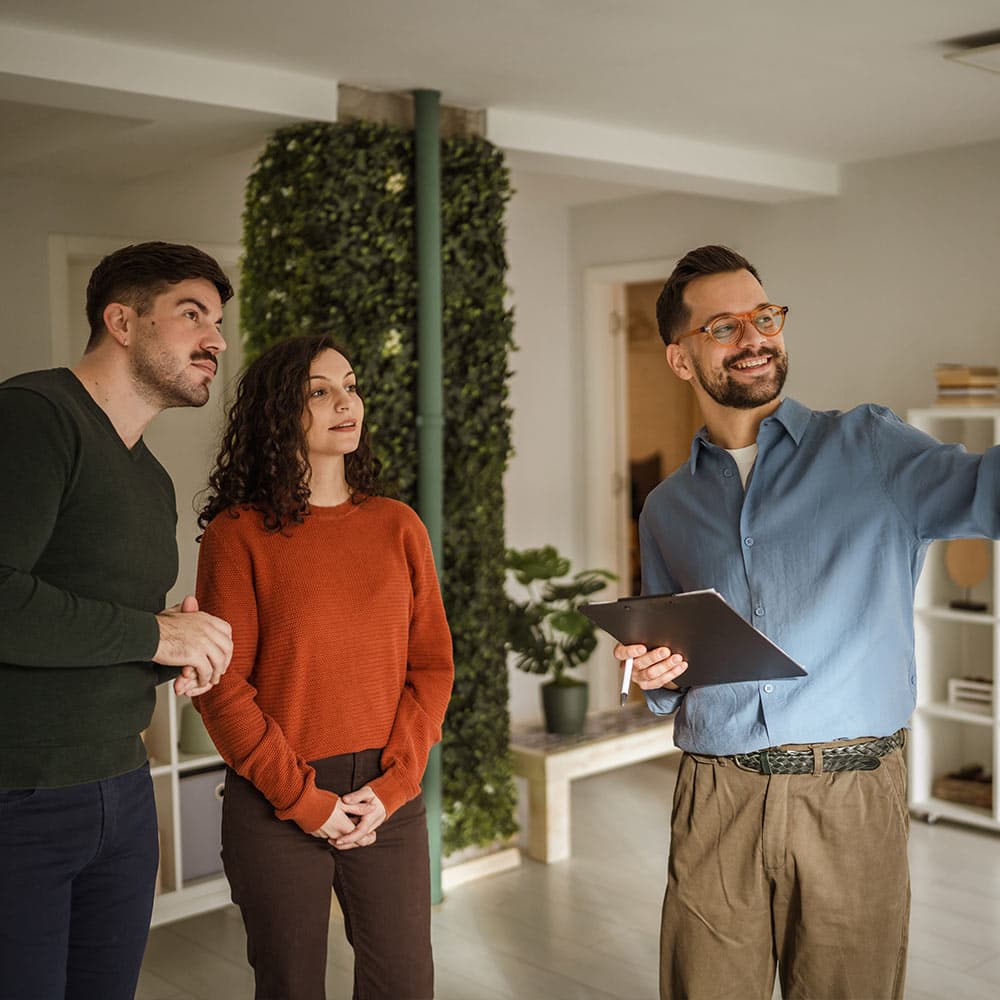 Auction Valuations. Understanding Your Options