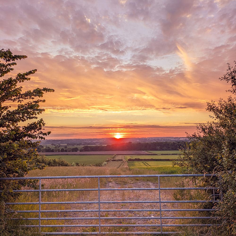 Post-War Expansion and Established Housing