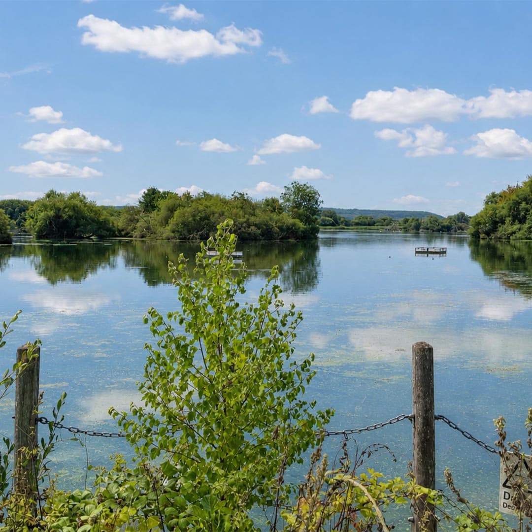 Things to do and green space